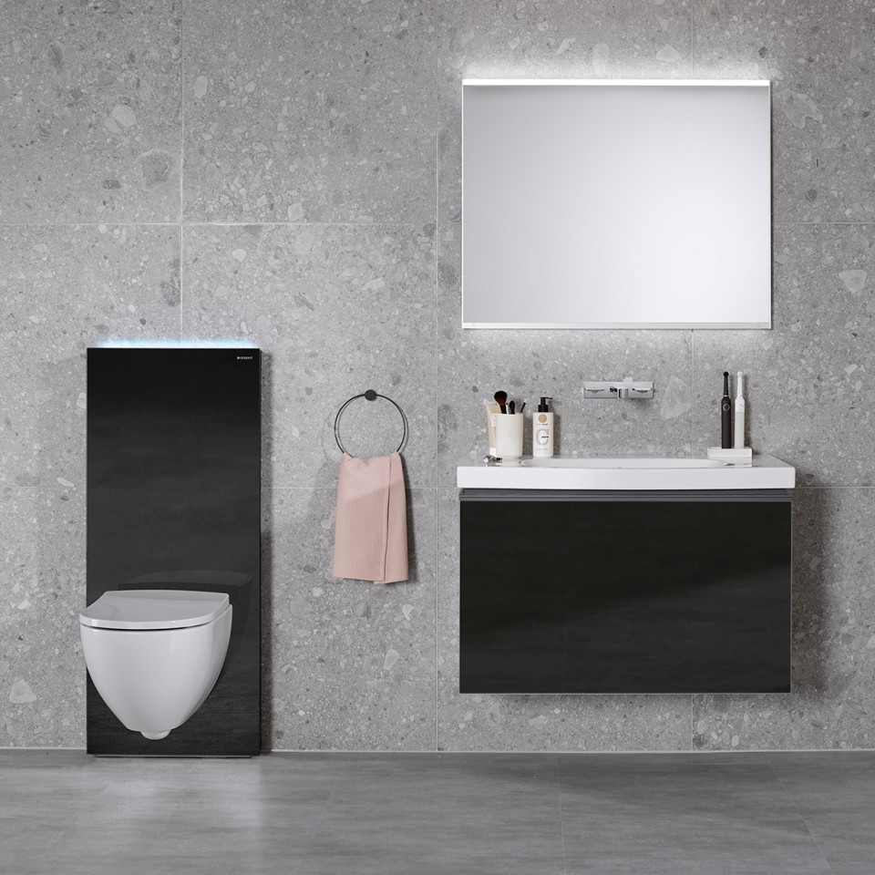 Acanto WC ve lavabo ile Monolith Plus