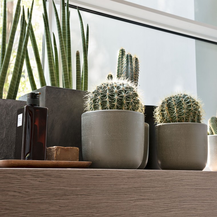 Pencere pervazında çeşitli bitkiler Pencere pervazında çeşitli bitkiler