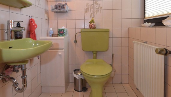 Renovasyon öncesi 80'lerden kalma yeşil misafir banyosu