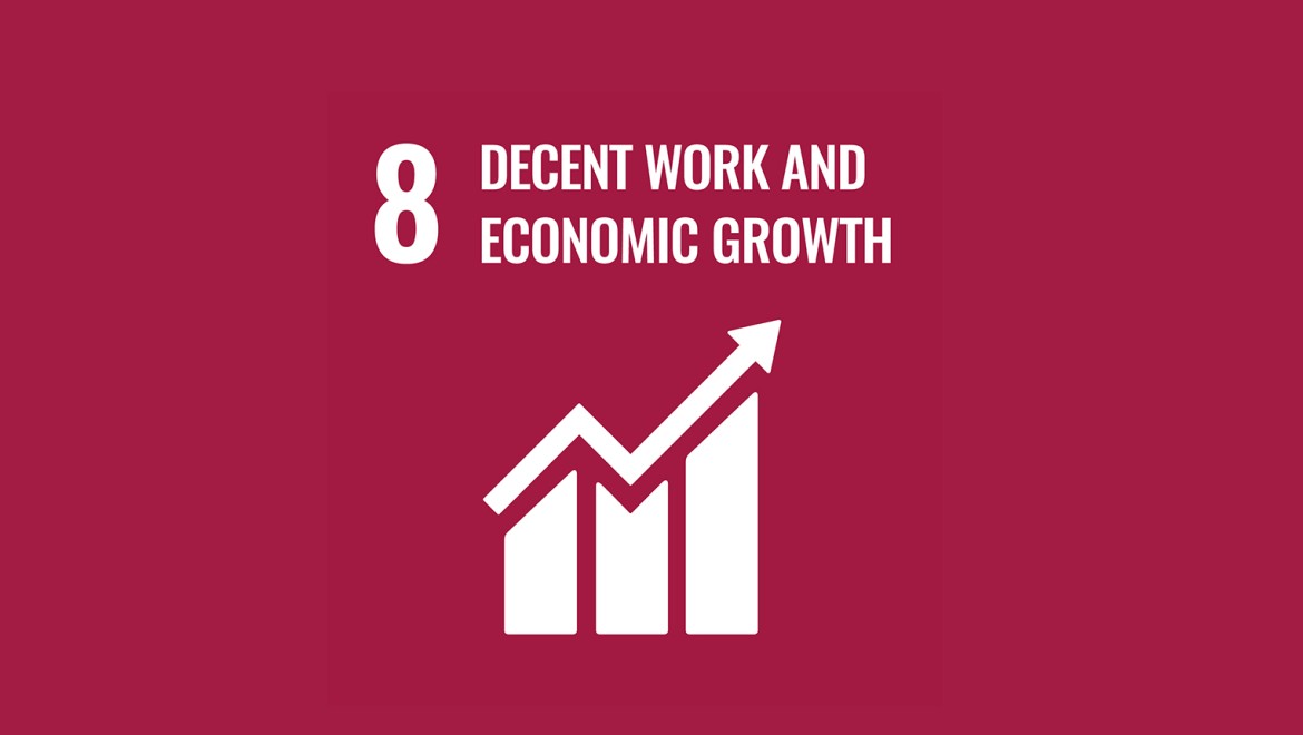 Birleşmiş Milletler Hedef 8 "İyi Çalışma ve Ekonomik Büyüme"